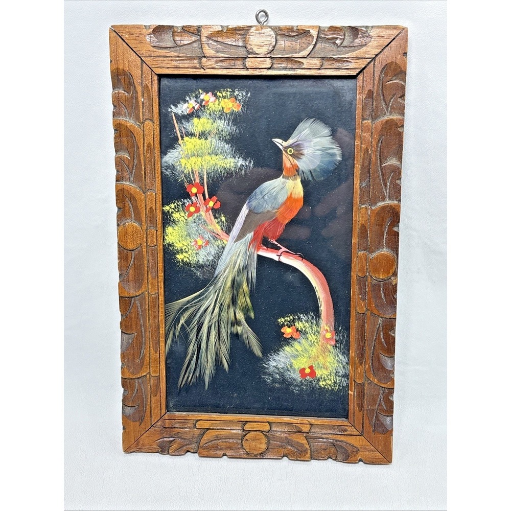 Vintage Mexican Bird Feather Art Folk Art Multicolor Bird Wooden Framed Colorful